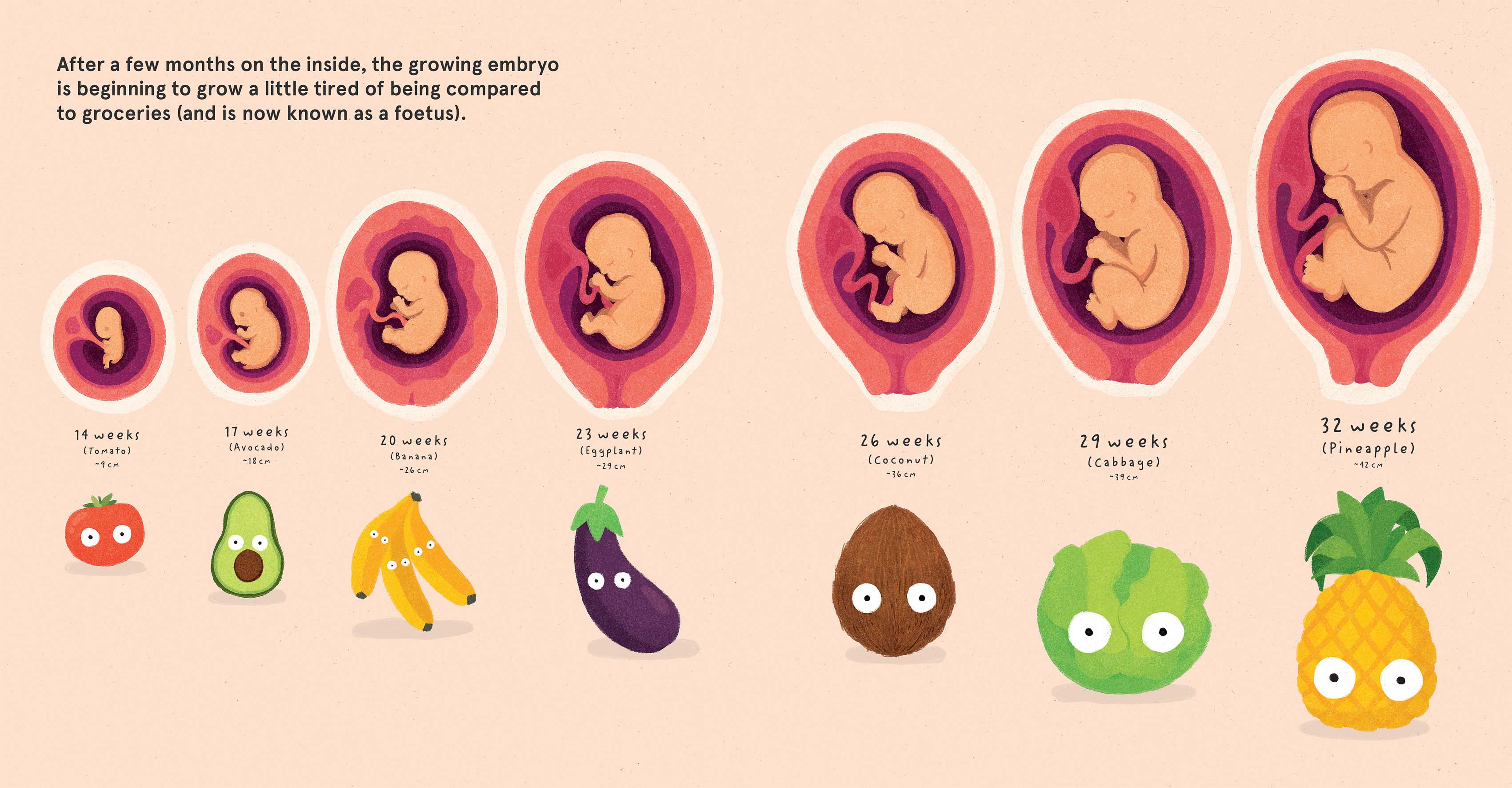 How Babies Are Made