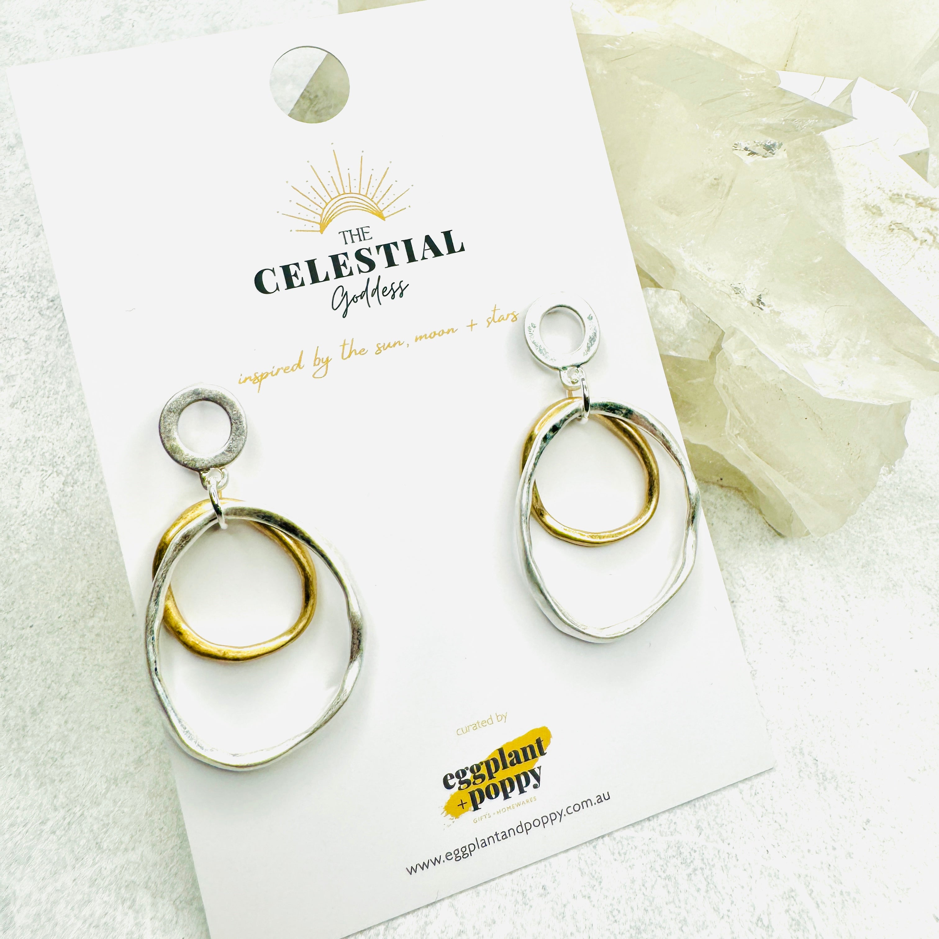 Dual Tone Ring Earrings