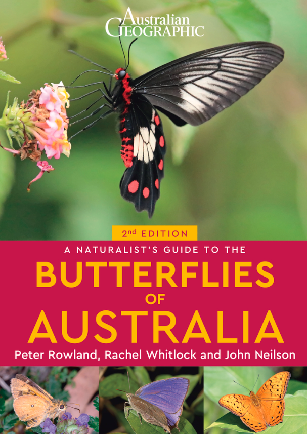 A Naturalist's Guide: Butterflies of Australia