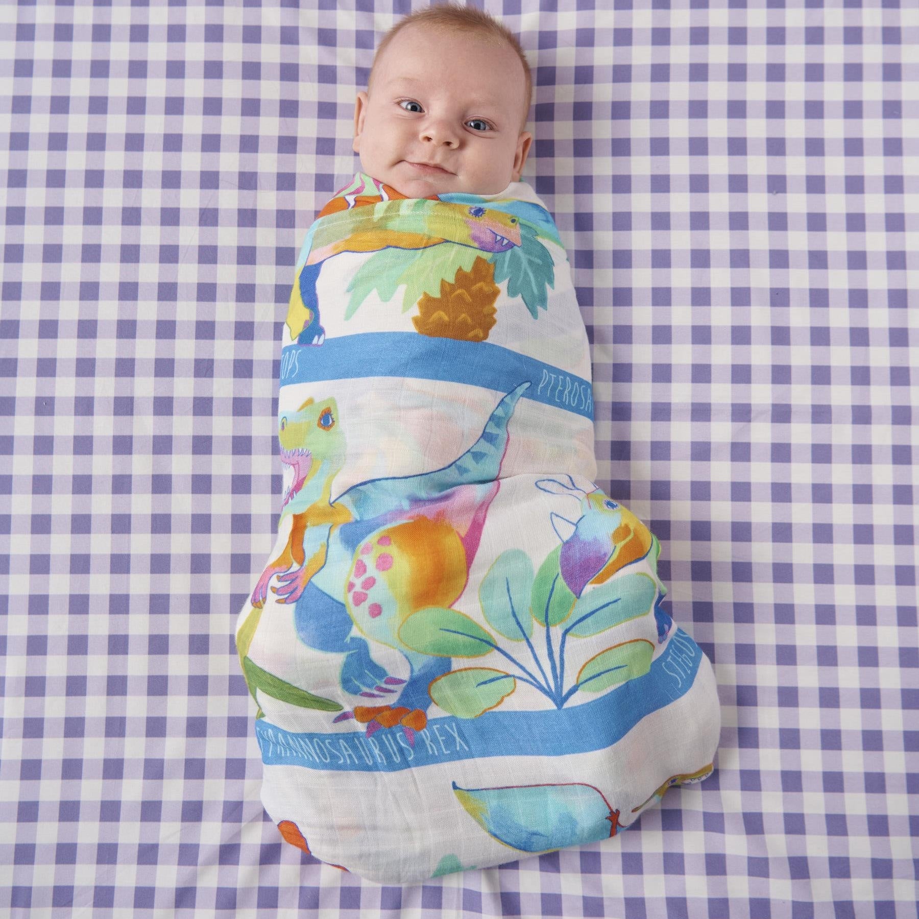 Bamboo Swaddle - Dino Safari