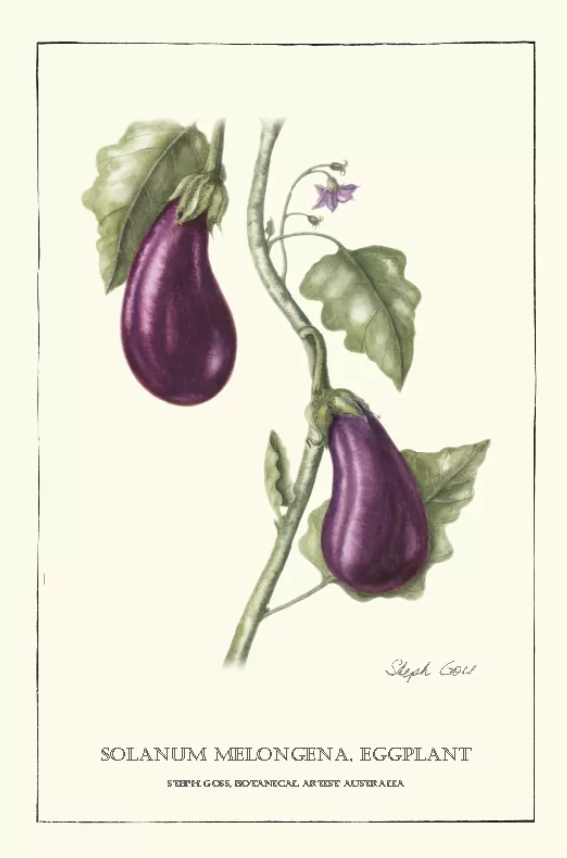 Tea Towel - Eggplant