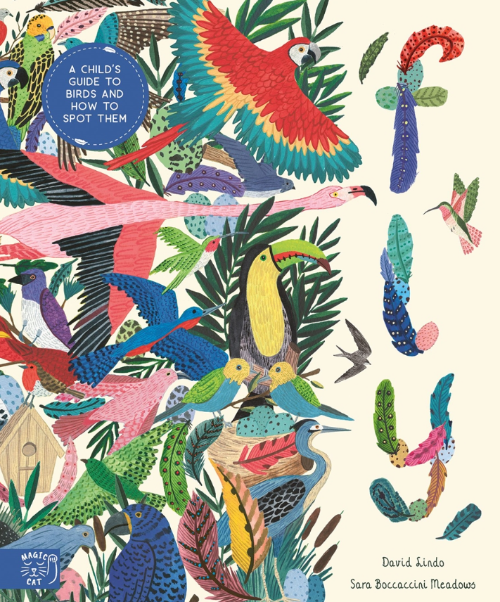 Fly: A Child's Guide to Birds