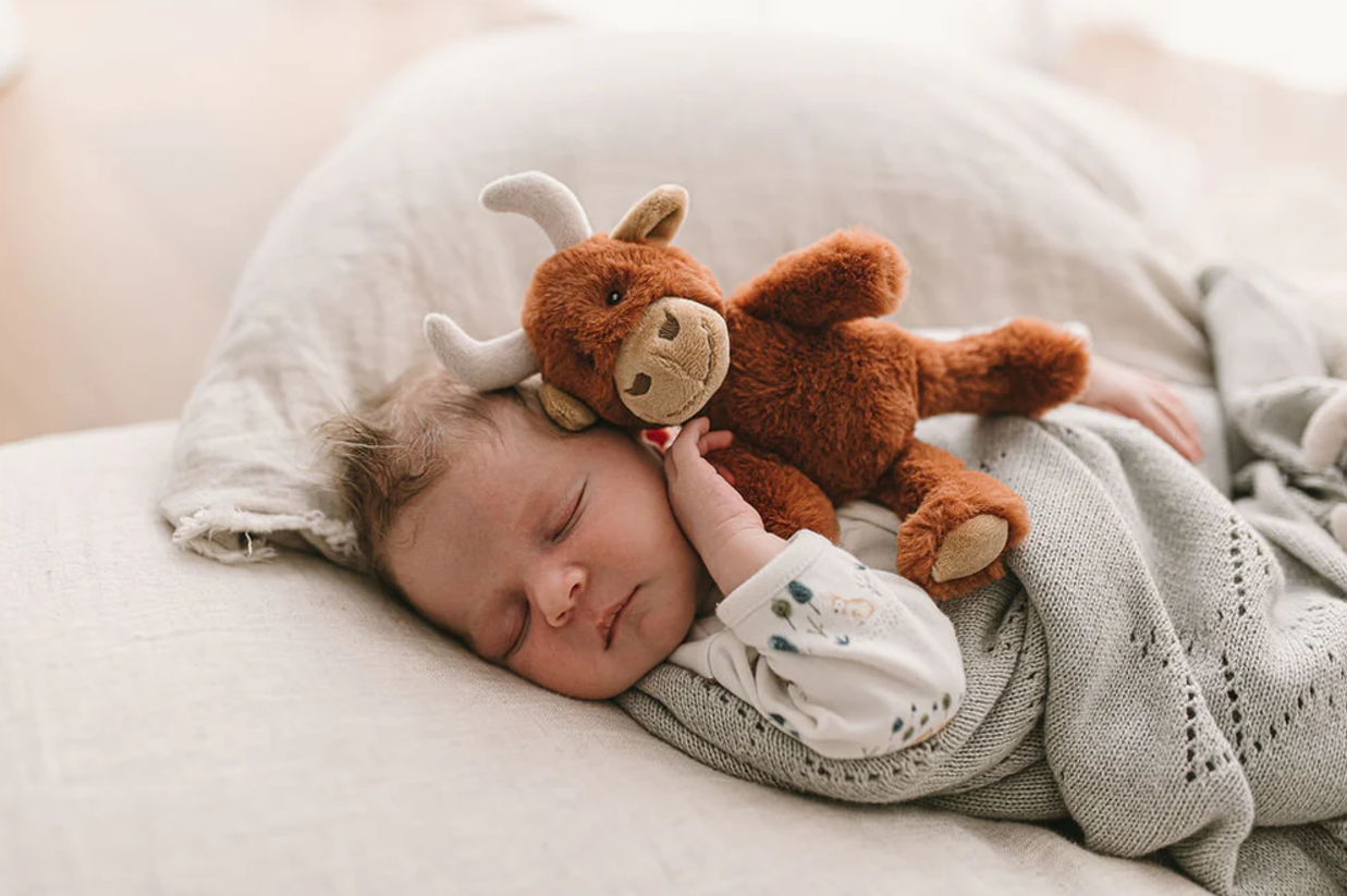 Henry the Highland Cow Rattle