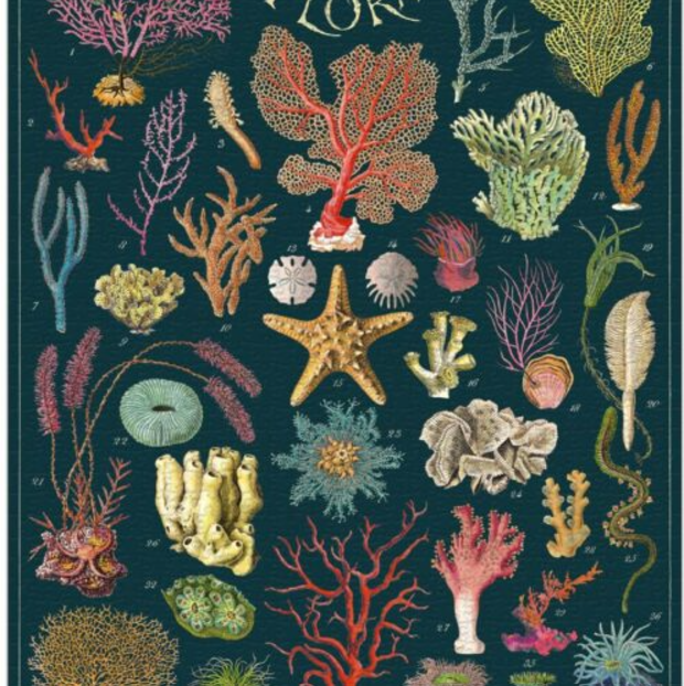 1000pc Puzzle - Ocean Flora