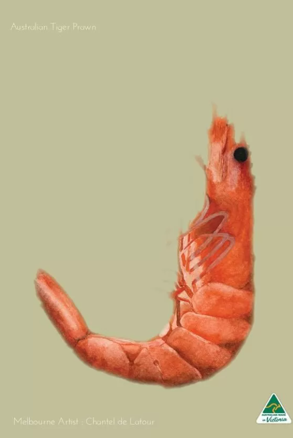 Tea Towel - Prawn (Sand)