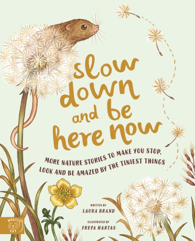 Slow down and be here now