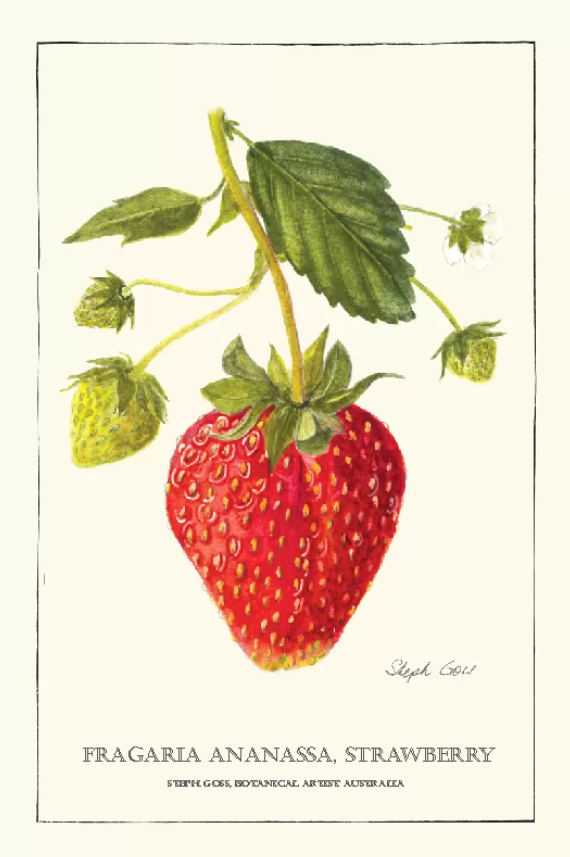 Tea Towel - Strawberry